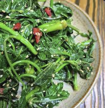 엄나무 효능 부작용 재배방법 총정리(최신)