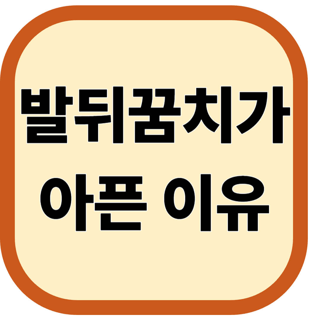 발뒤꿈치가 아픈 이유