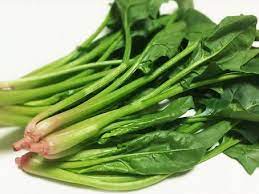 뼈에 좋은 음식