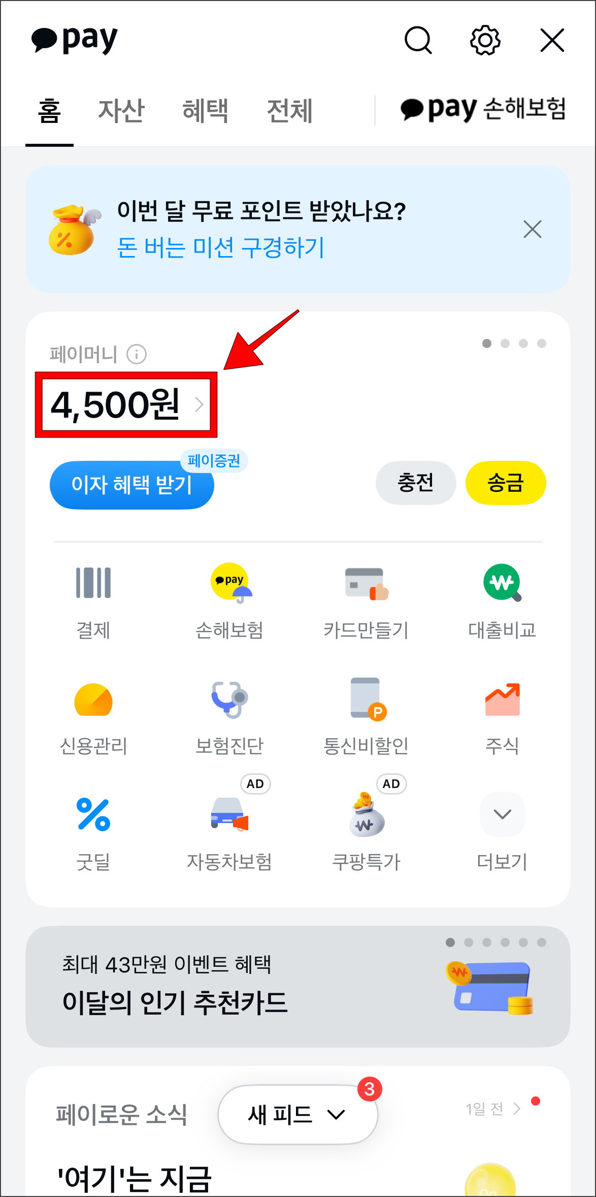 카카오페이에서 페이머니 잔액을 선택