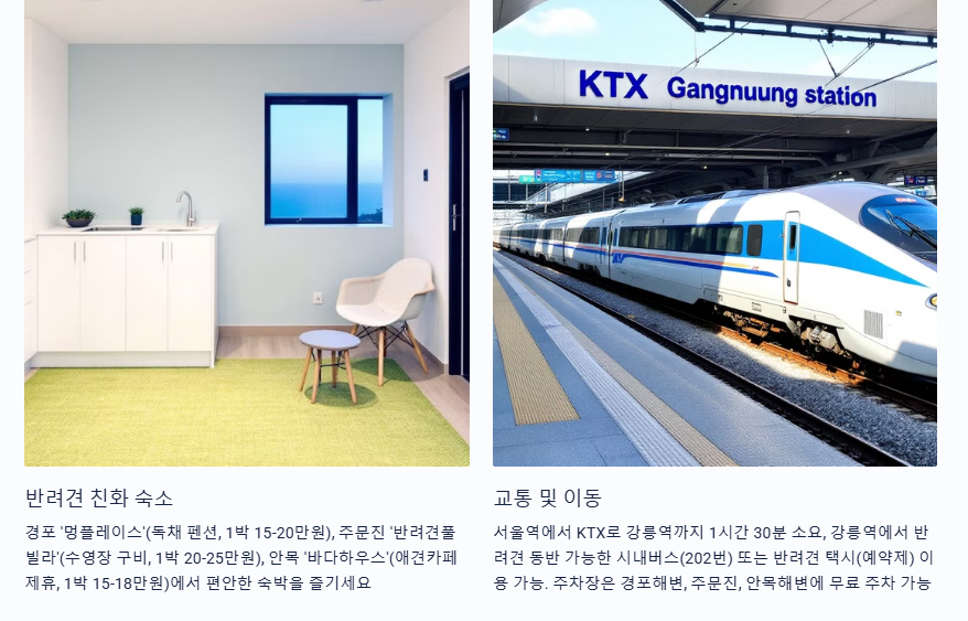 반려동물 친화숙소 교통