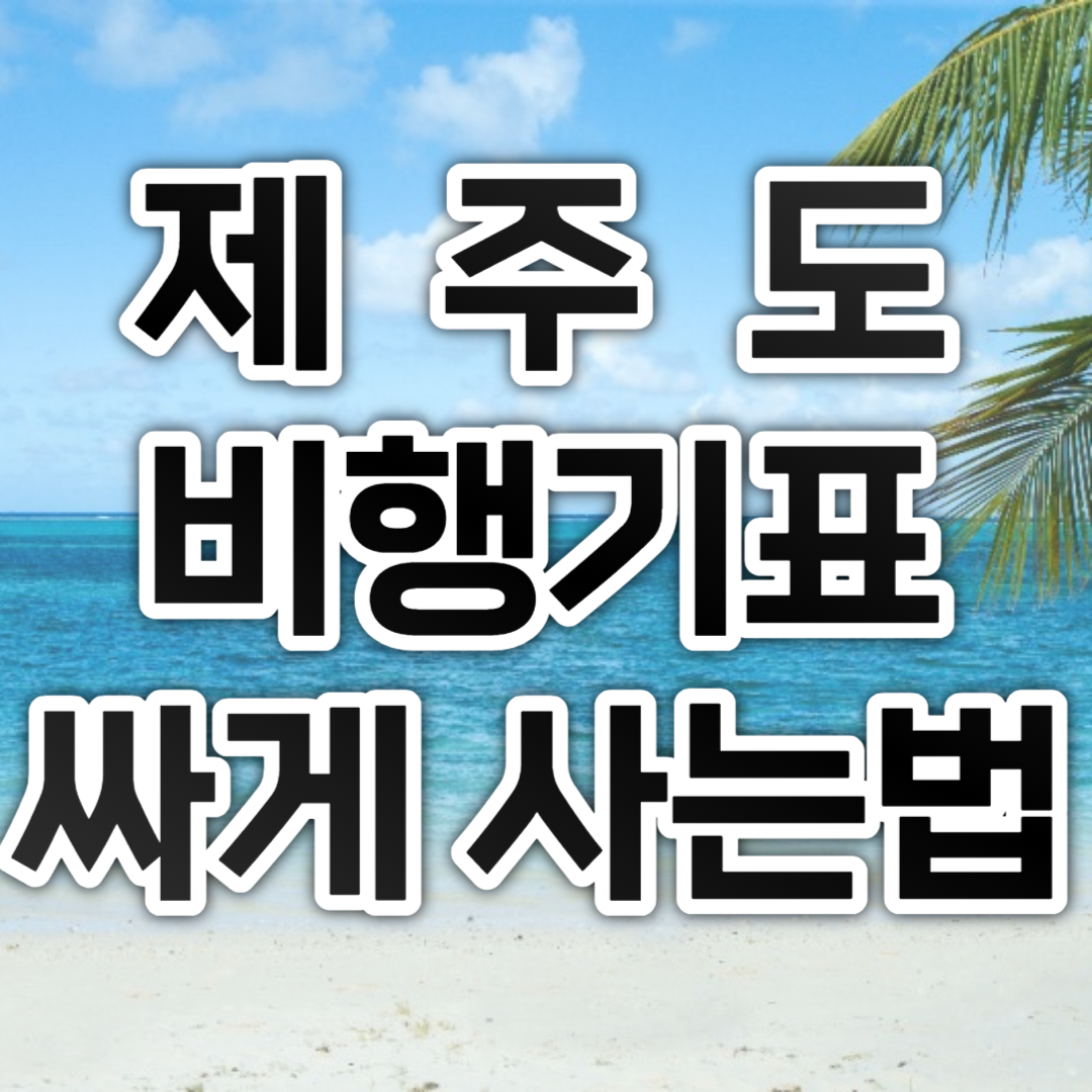 제주도 비행기표 싸게 사는법