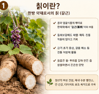 칡즙의효능-복용방법-효과-추천-생칡즙