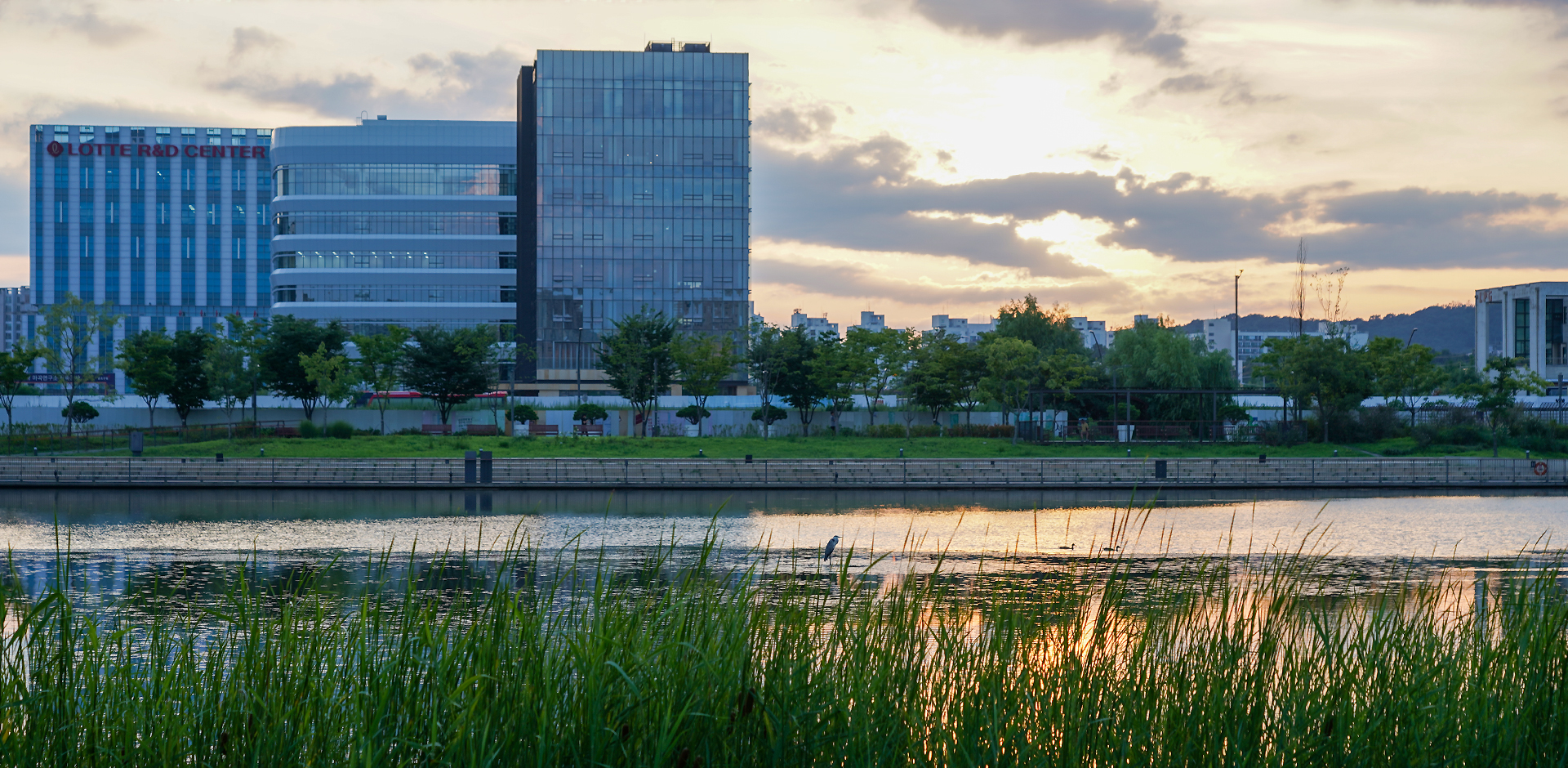 서울식물원 도심 속 이색 유리온실, 자연 힐링!