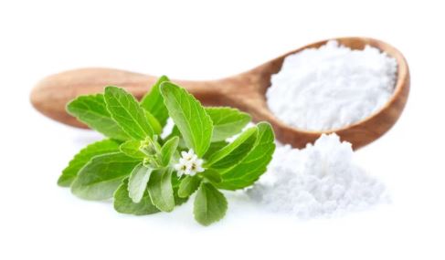 스테비아 토마토 부작용 칼로리