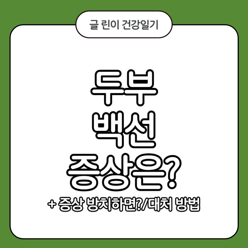 두부 백선 증상