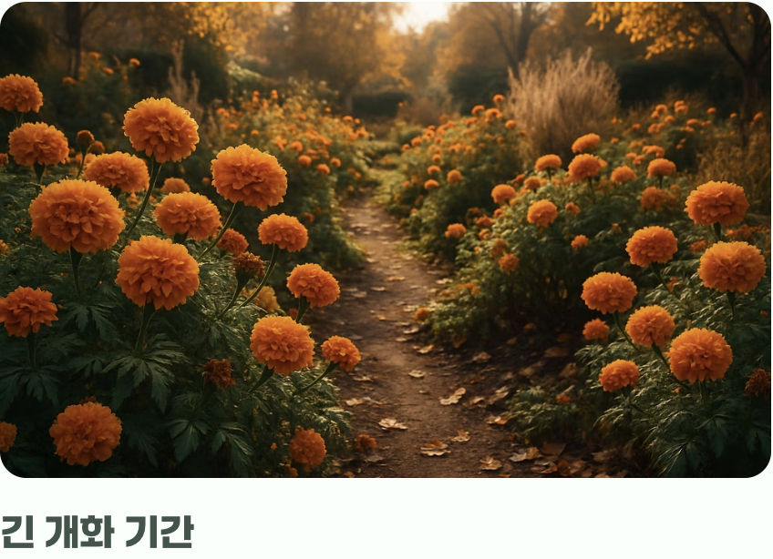 단순한 방충제를 넘어