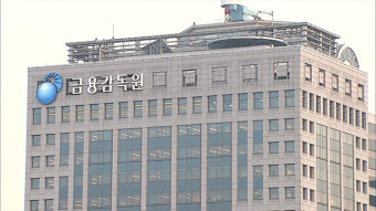 상법개정안 거부권 행사8