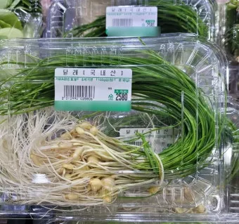 달래 손질 방법 달래장 맛있게 꿀팁_7