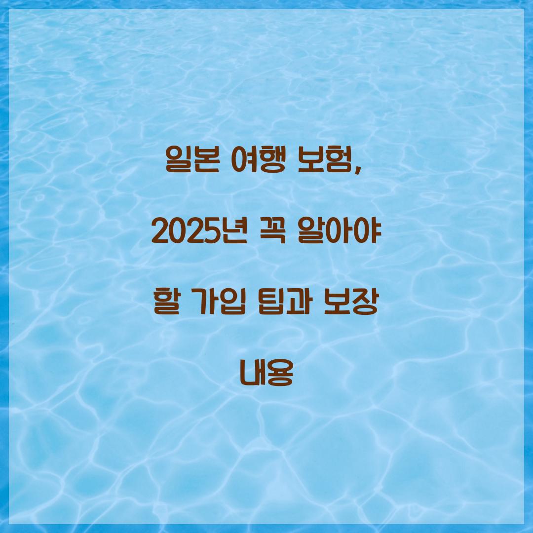일본 여행 보험