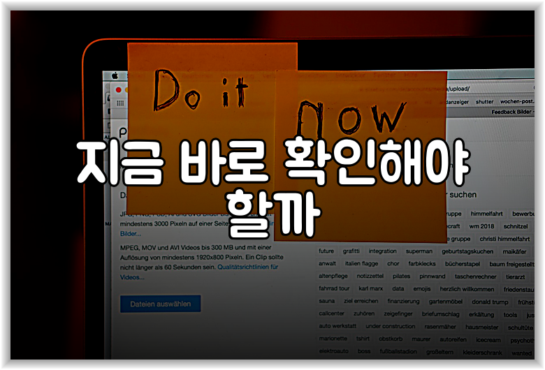 지금 바로 확인해야 할까