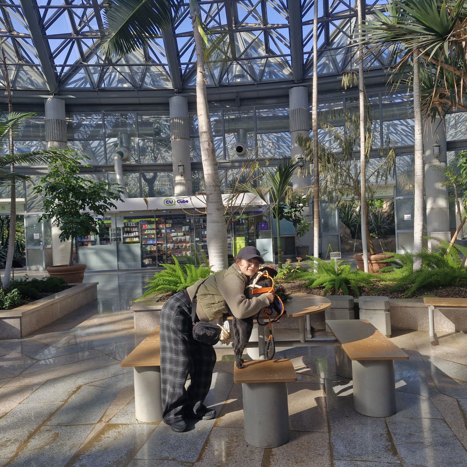 강아지 심장사상충&amp;#44; 단계별 증상 및 예방약&middot;치료약 비용 정리