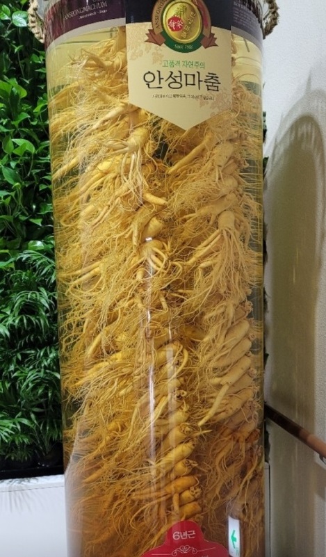 동네한바퀴-안성-황제해물탕-소담가