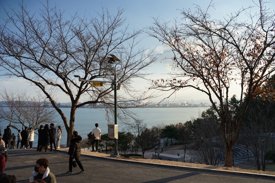 포항 환호공원 스페이스워크