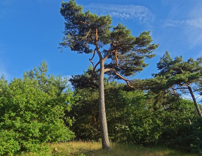 전기세 폭탄 피하는 법! 여름철 전기요금 할인 제도