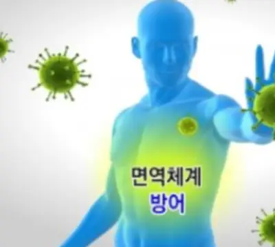아르기닌-효능-부작용-건강