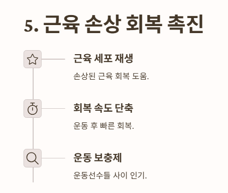 근육 손상 회복 촉진