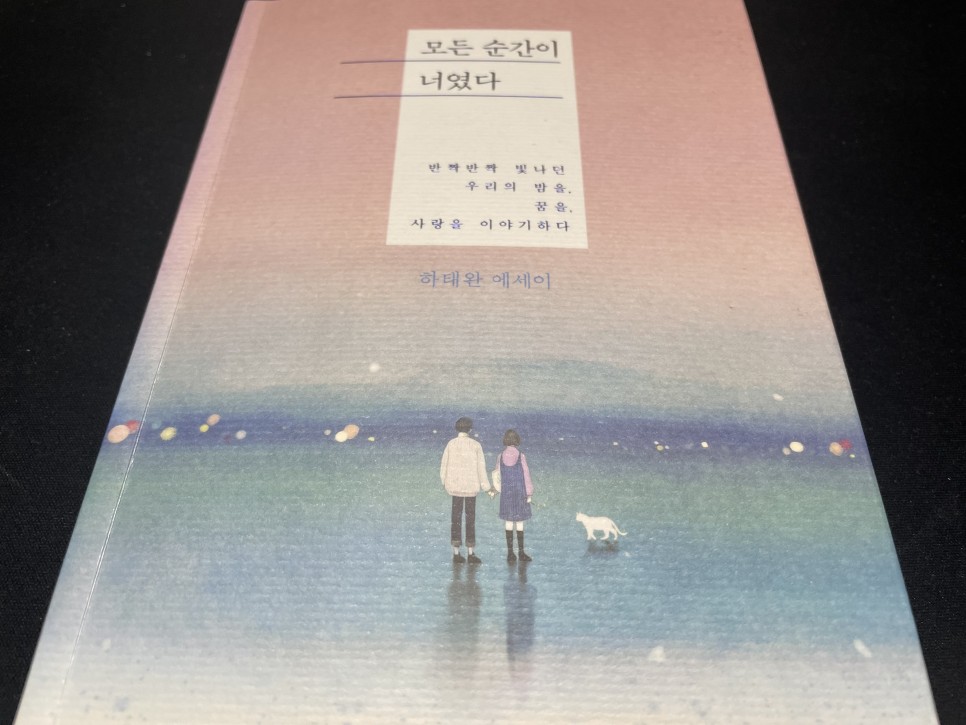 모든순간이 너였다 책 사진