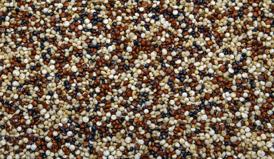 노화 방지에 좋은 음식 퀴노아가 쌓여 있다