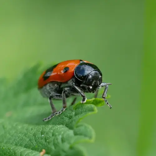 조경기능사 자격증 시험일정