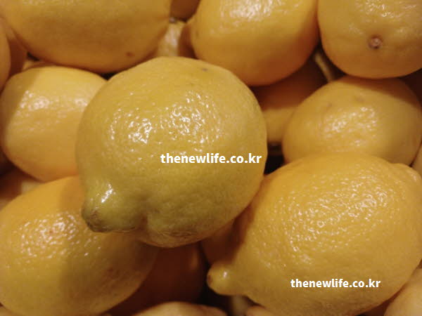 레몬수 효능 영양 성분 실사진