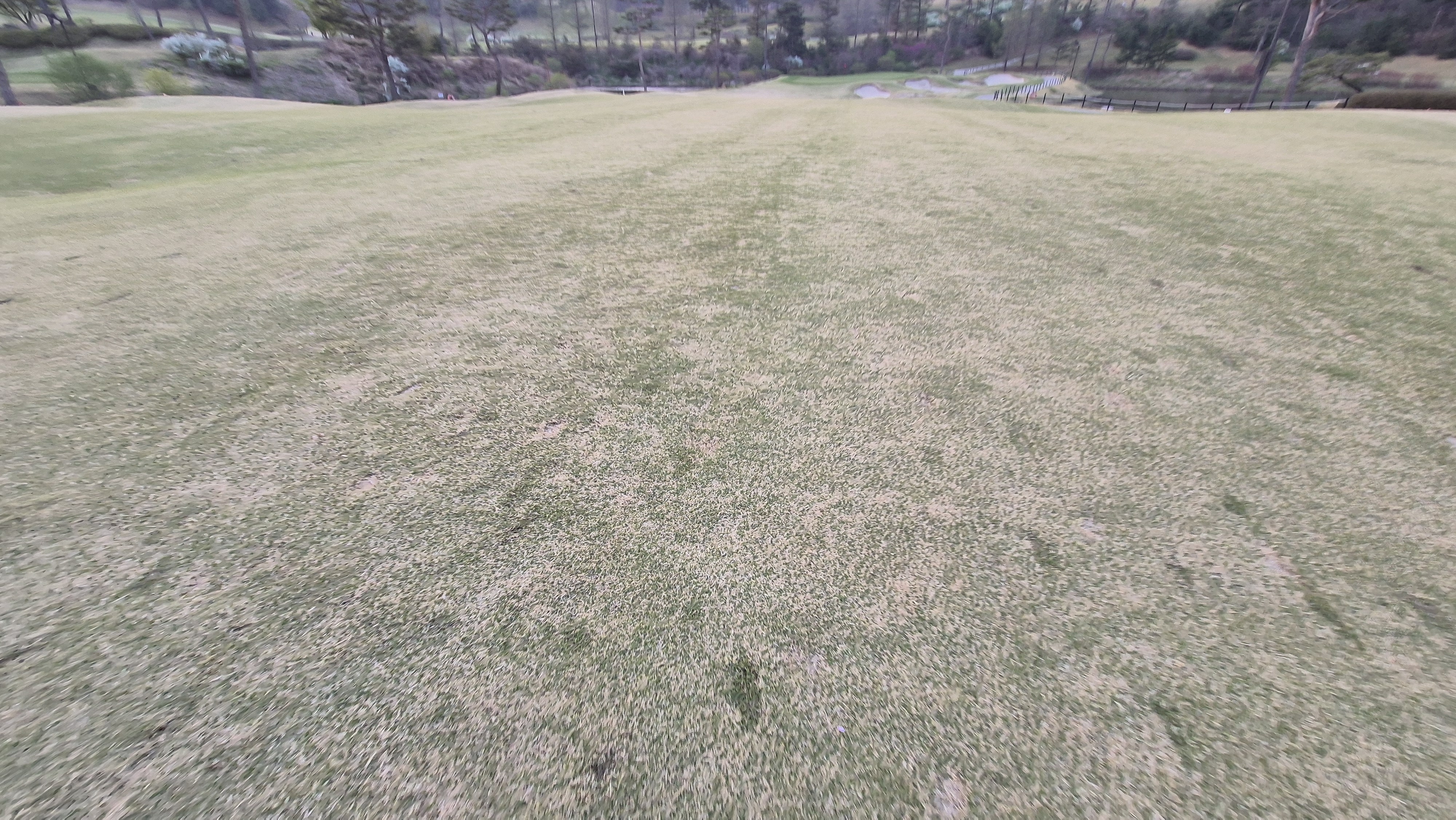 진양밸리 크리크-밸리 코스 컨디션