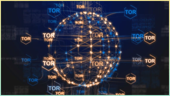 Tor 익명 네트워크 인터넷 개인 정보 보호 온라인 데이터 및 신원 보호 - 3D 일러스트레이션 렌더링