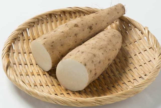 한국의 떡 종류 마꽃떡