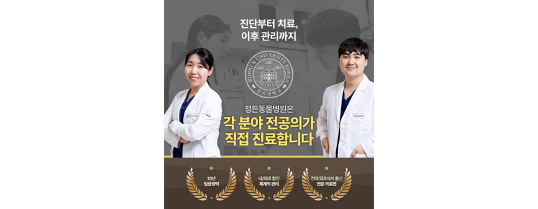 서울 은평구 동물병원