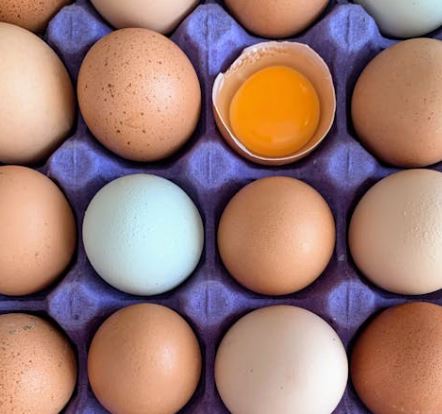 비타민d 하루 권장량 먹는법