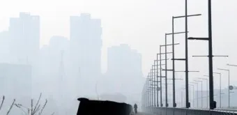 세종 미세먼지 농도 공원 산책 시간대 선택 건강 팁_4