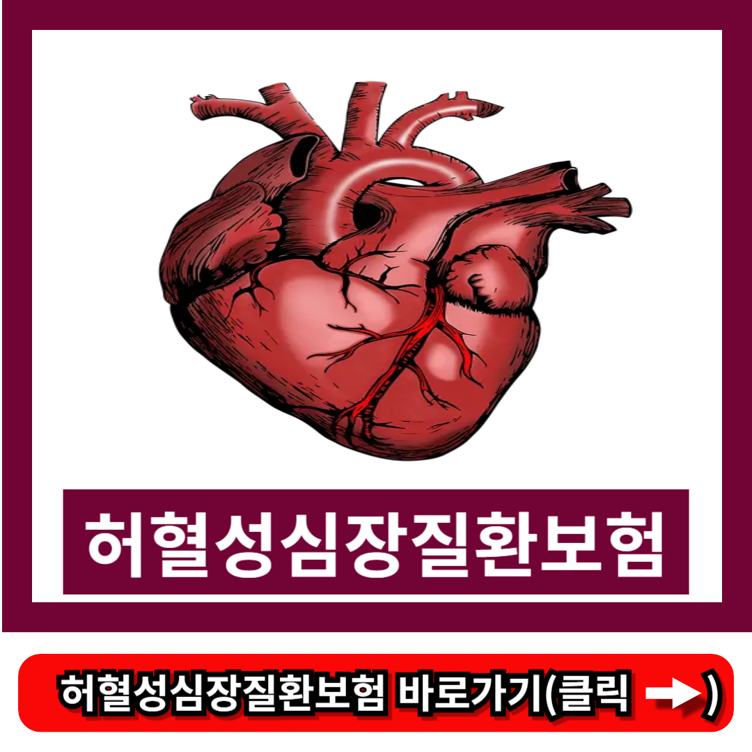 허혈성심장질환보험