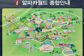 강원도 홍천 알파카월드 