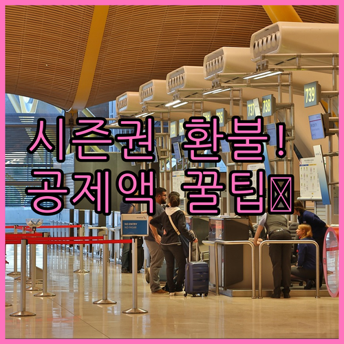 스키장 시즌권 환불 성공 전략 사용 ..