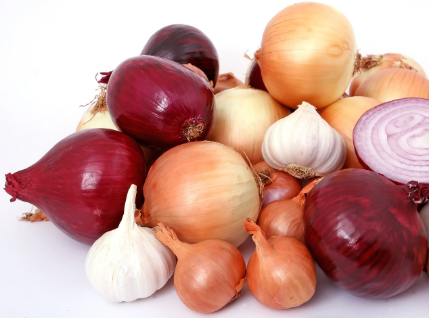 양파쨈의 재료 양파