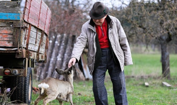 65세이상-대상포진-예방접종-무료-지원-신청방법