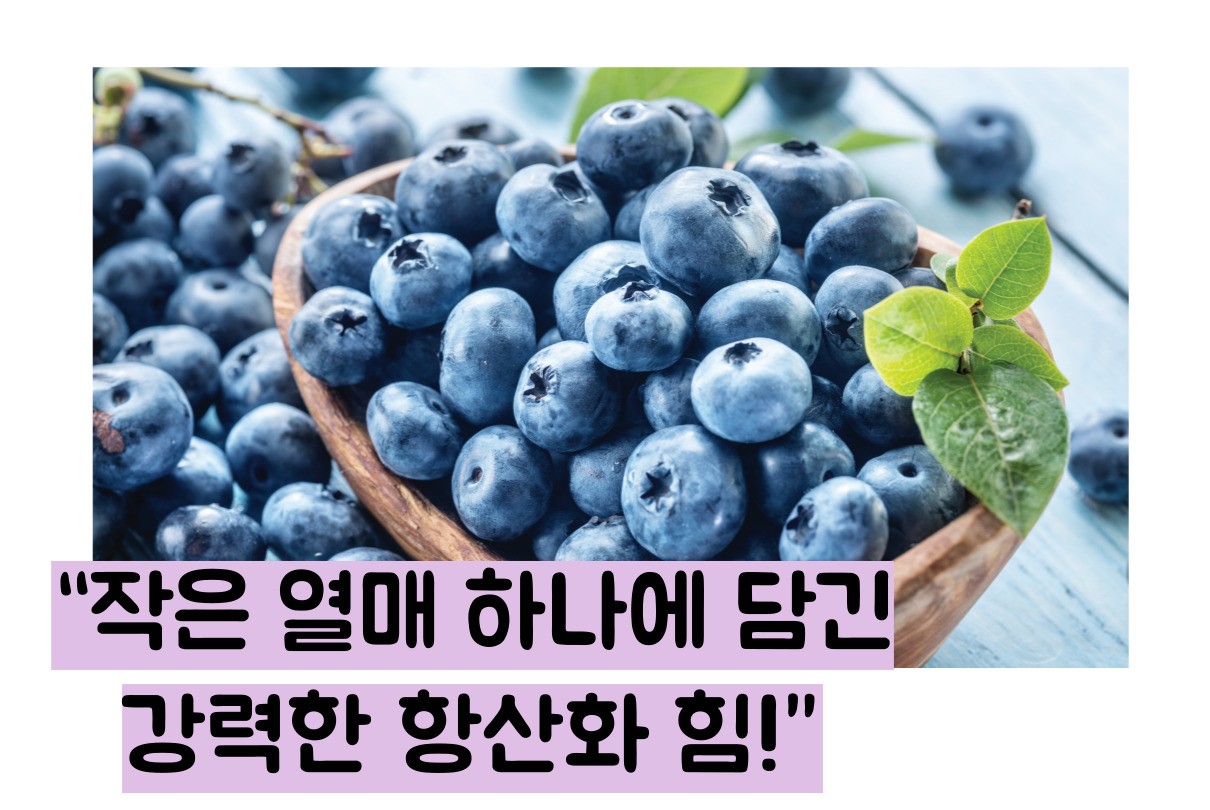 블루베리 효능 