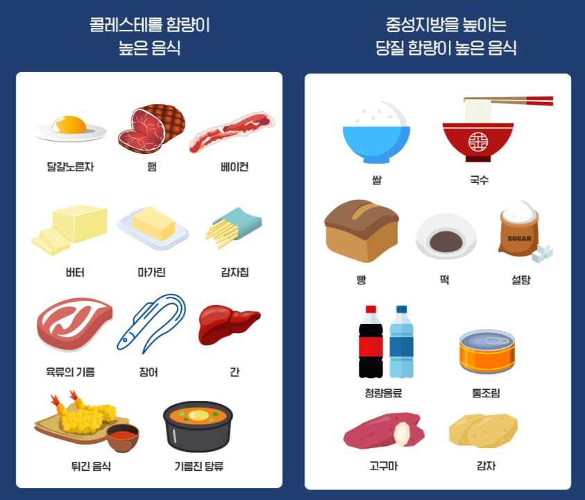 고지혈증에 않좋은 음식