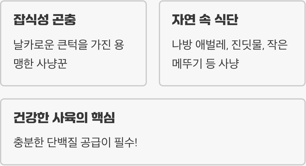 초록색 갑옷의 작은 사냥꾼