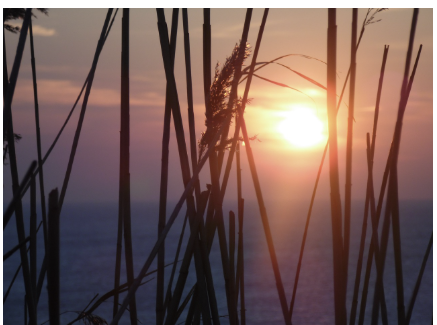 열대야 기준 온도 - 열대야 기간, 열대야 취침모드 전기세, 더위증상(온열질환)까지 총정리!