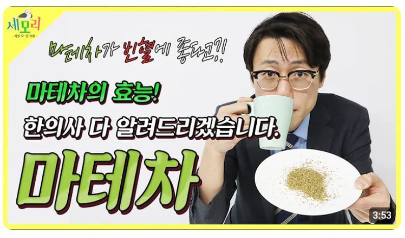 마테차 효능 유튜브 영상 보기