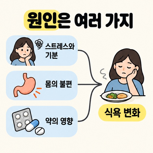 스트레스와 기분 및 몸의 불편과 약의 영향을 식욕 변화로 연결한 여러 가능한 원인 도식