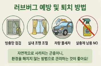 러브버그 왜 갑자기 많아졌을까? 퇴치 방법부터 익충 여부까지 총정리3