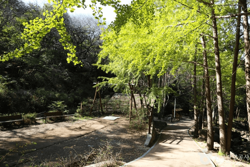 창원 달천계곡