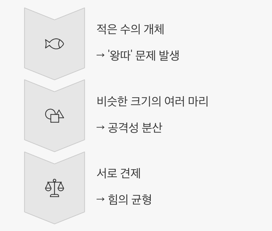 합사 - '과밀'이 평화를 부르는 역설