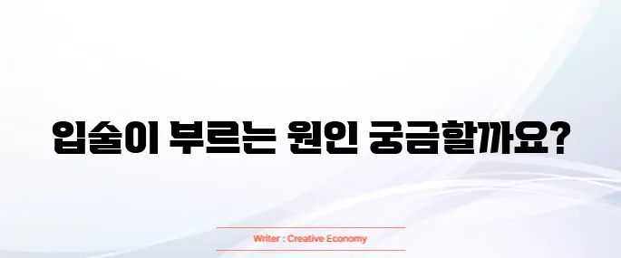 입술이 부르트는 이유