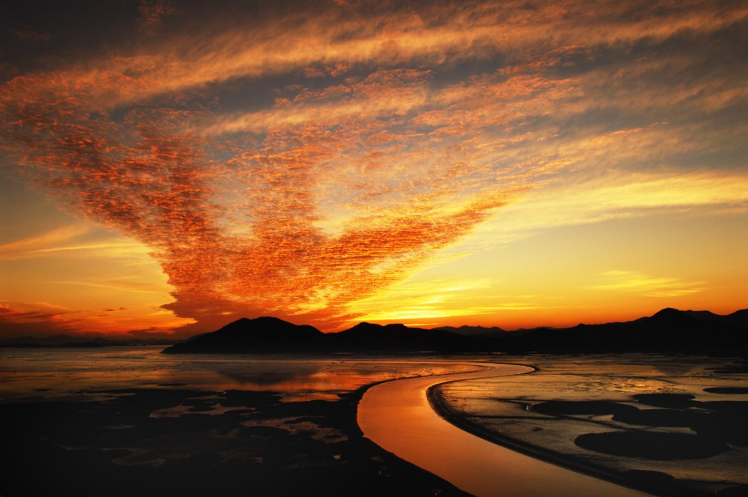 순천만 습지-일몰