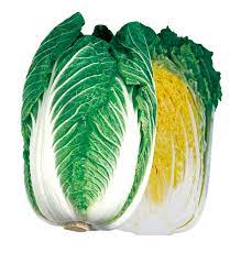 2023 김장 절임 배추 사전 예약 할인가 추천과 가격 비교하기