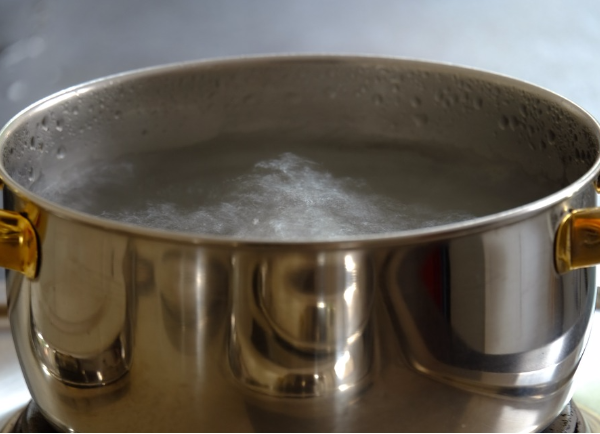 노로 바이러스 증상