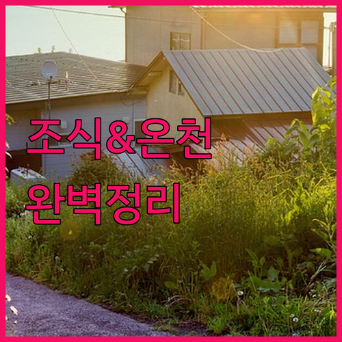 하코다테 호텔 추천 TOP 5 위치 ..